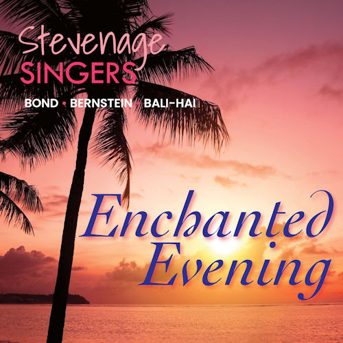 Image of Enchanted evening poster cropped version